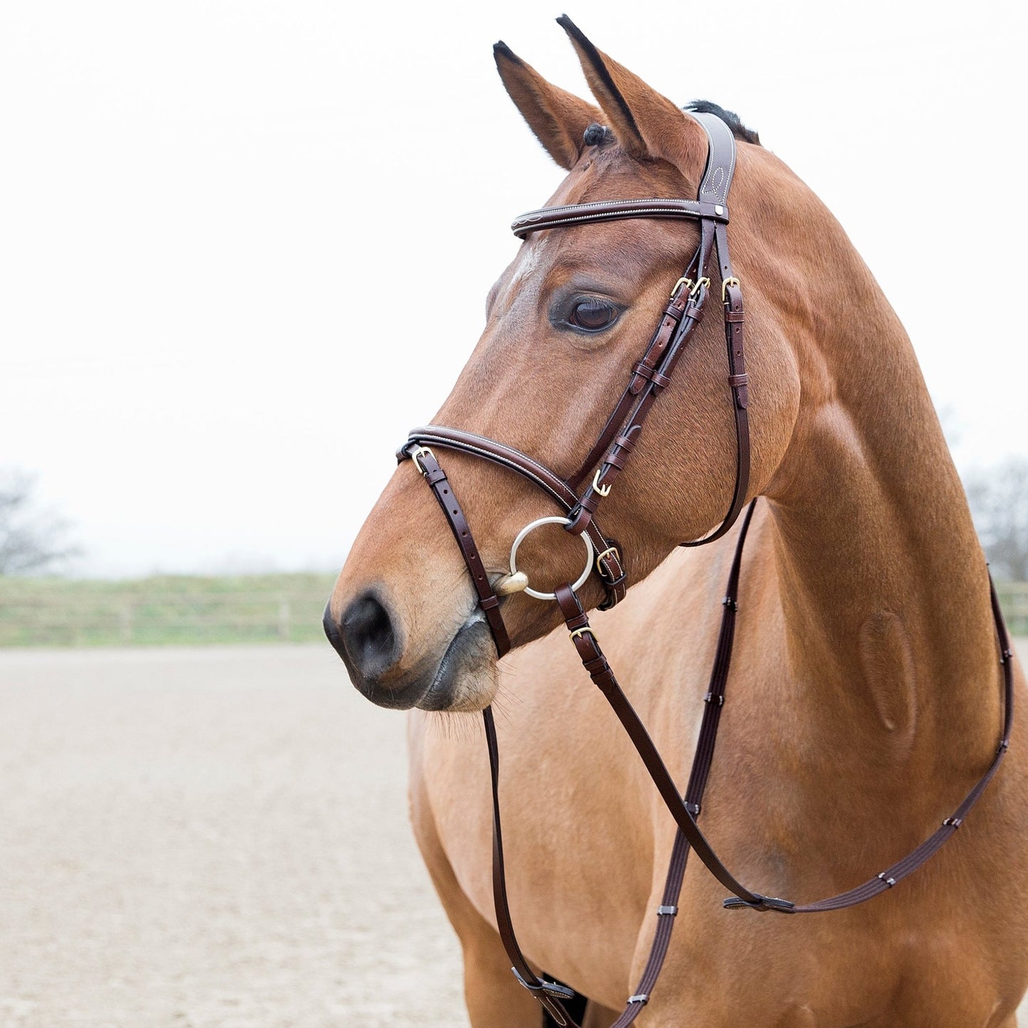 Horze Constance Hannovrian Bridle Brown - Aitken's Saddlery