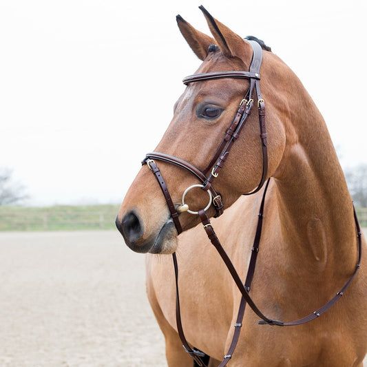 Horze Constance Hannovrian Bridle Brown - Aitken's Saddlery