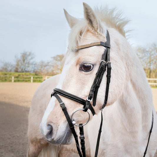 Horze Pony Bridle Black & Gold - Aitken's Saddlery