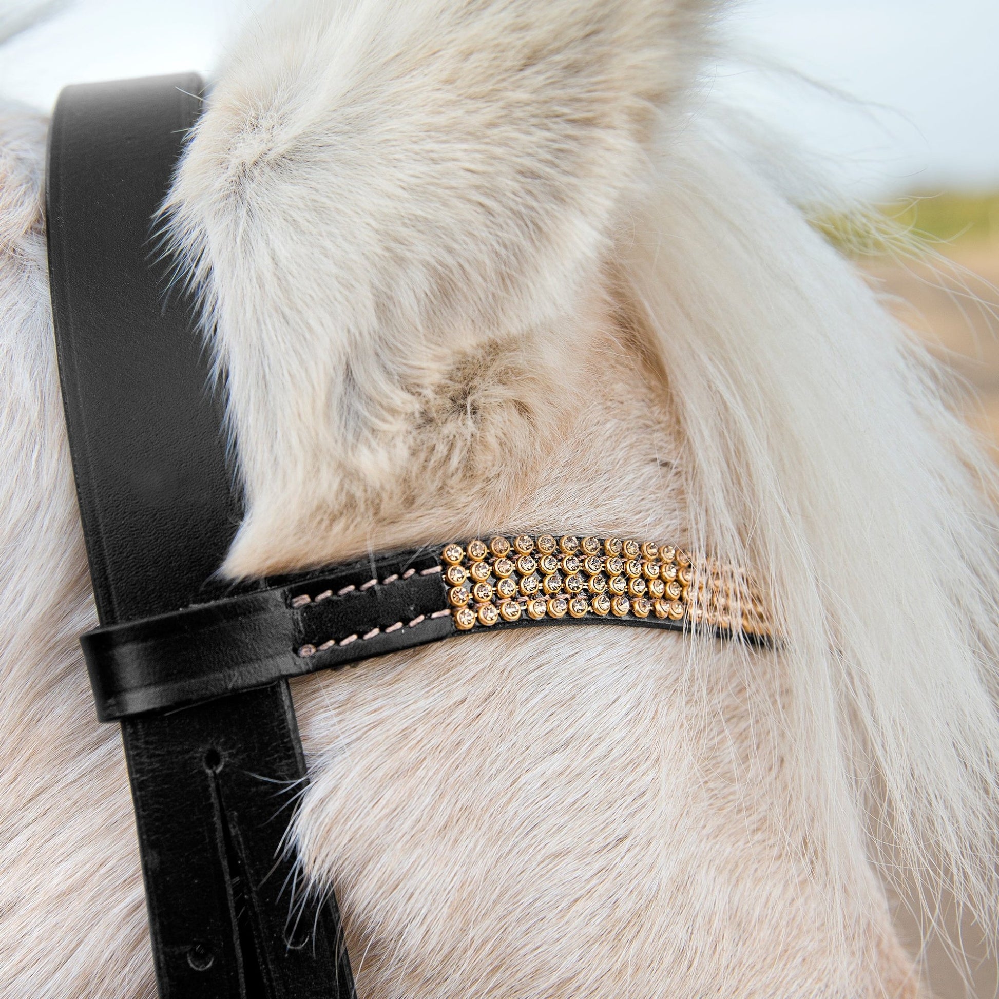 Horze Pony Bridle Black & Gold - Aitken's Saddlery