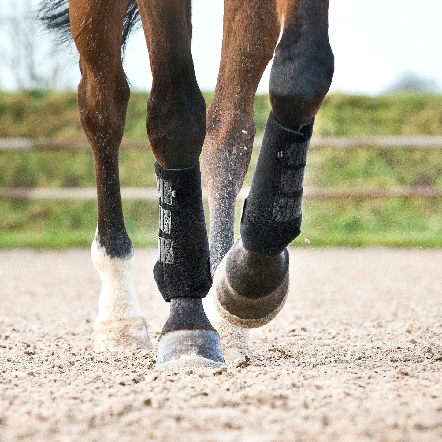 Horze Prosoft Boots - Aitken's Saddlery