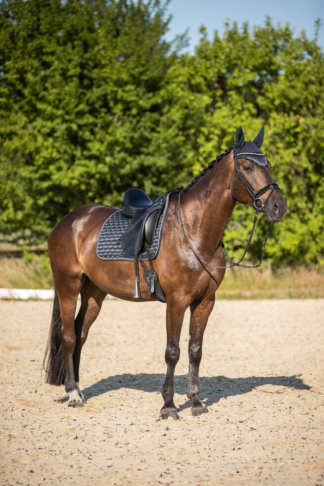 Horze Sandnes Dressage Saddle Pad Very Dark Blue - Aitken's Saddlery