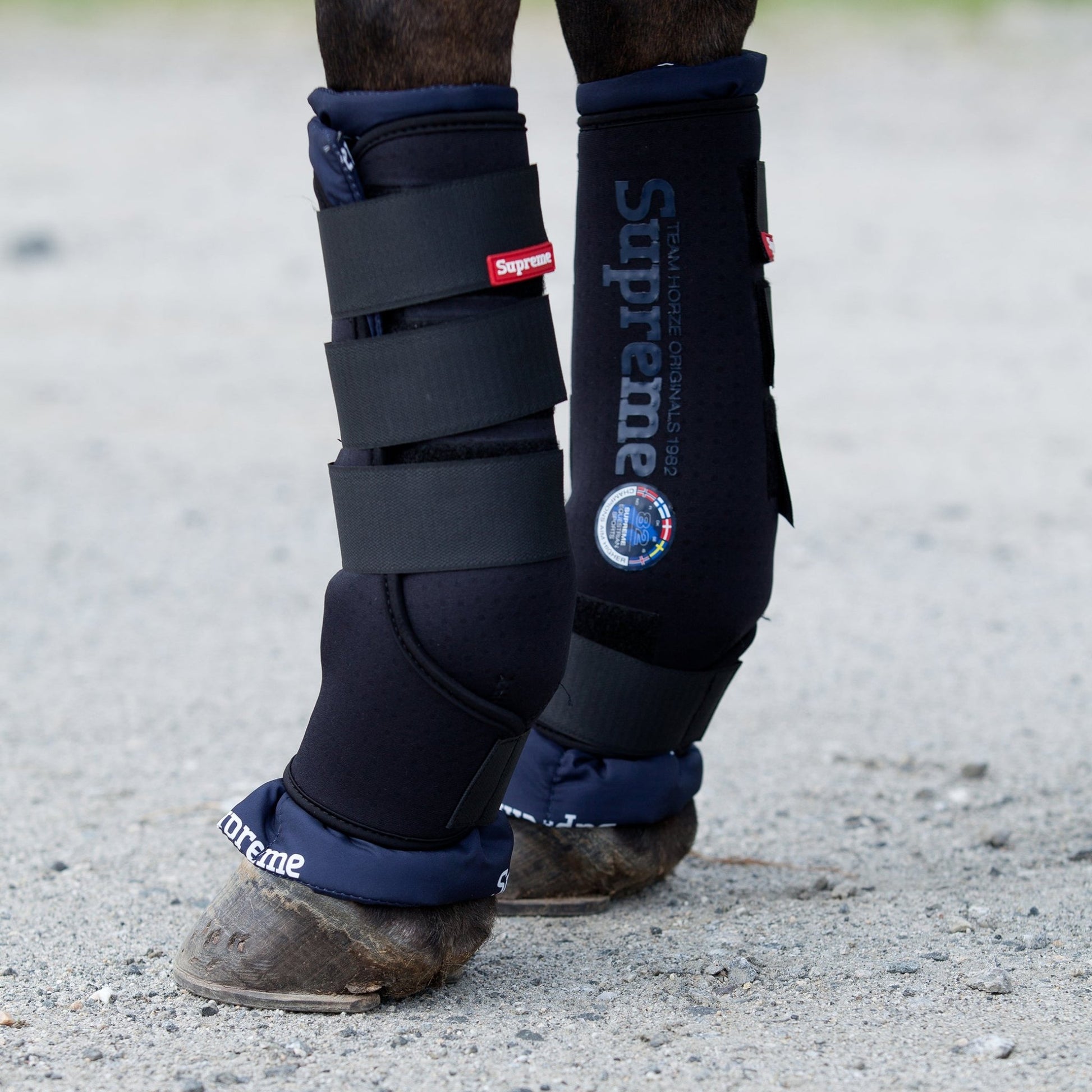 Horze Supreme Pro Stable Boot Black - Aitken's Saddlery