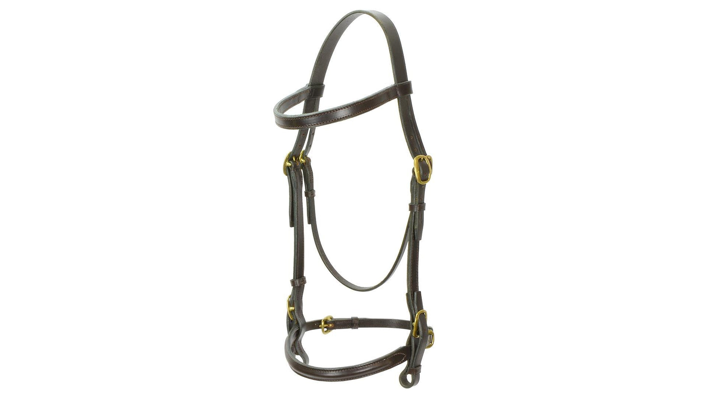 Jeffries Stallion Show Bridle - Aitken's Saddlery