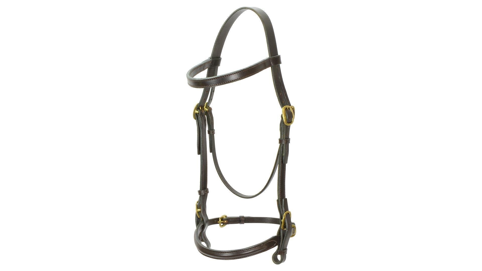 Jeffries Stallion Show Bridle - Aitken's Saddlery