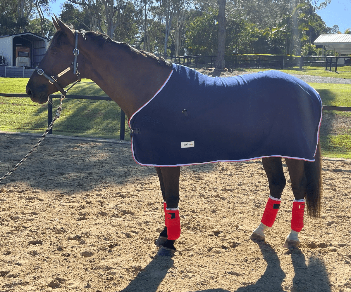 Polar Fleece Rug Navy Blue with White & Red Trim - Aitken's Saddlery