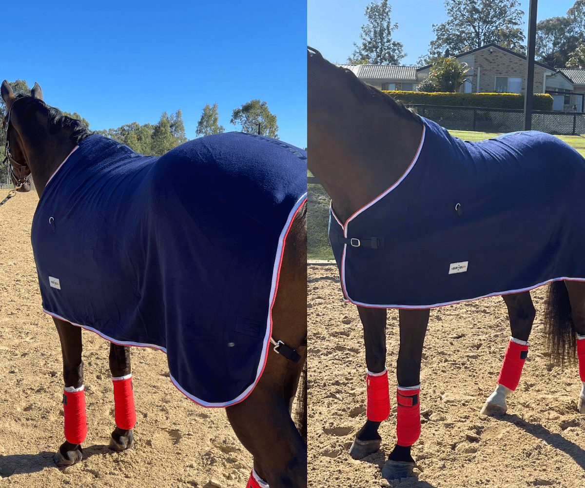 Polar Fleece Rug Navy Blue with White & Red Trim - Aitken's Saddlery