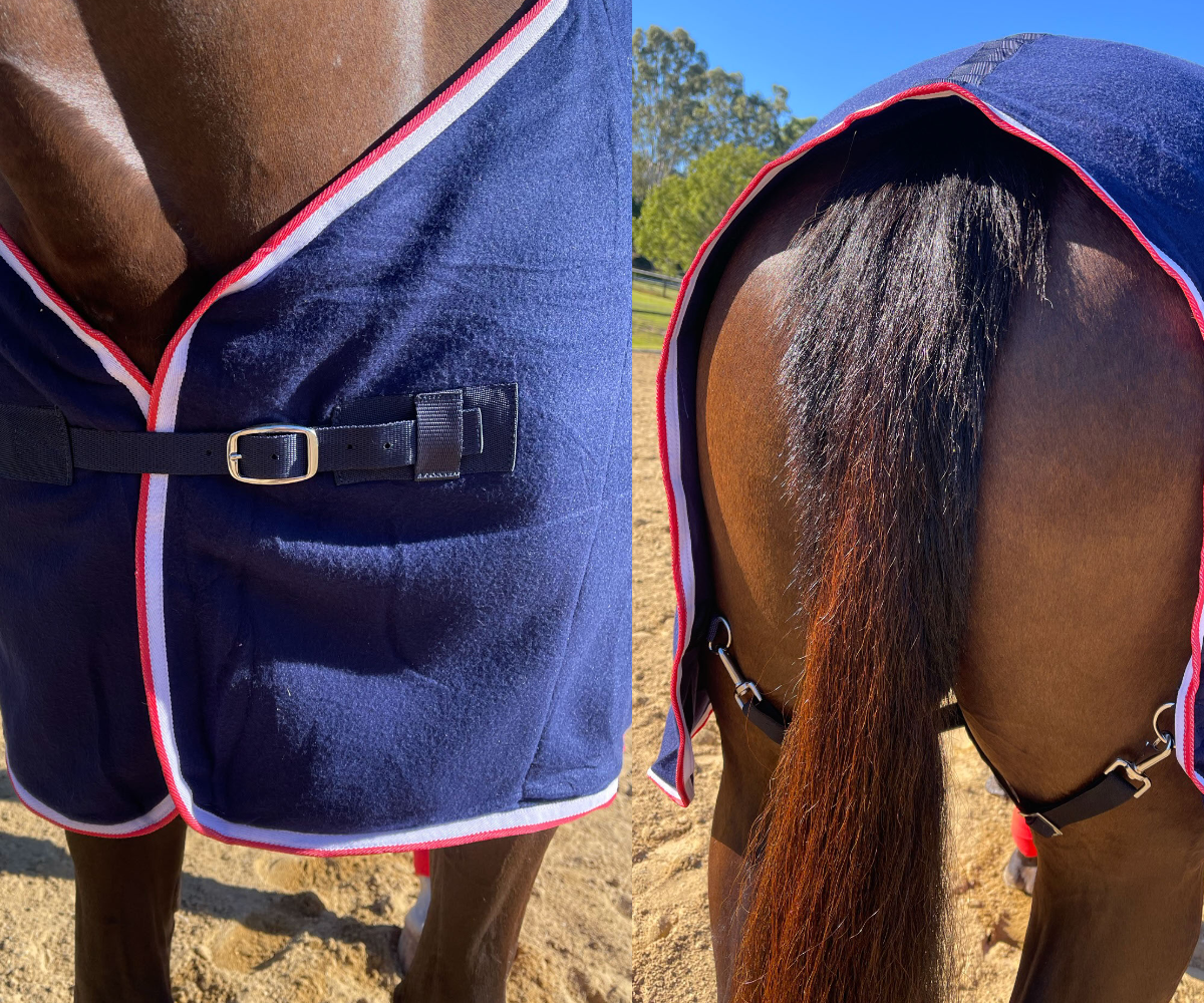 Polar Fleece Rug Navy Blue with White & Red Trim - Aitken's Saddlery