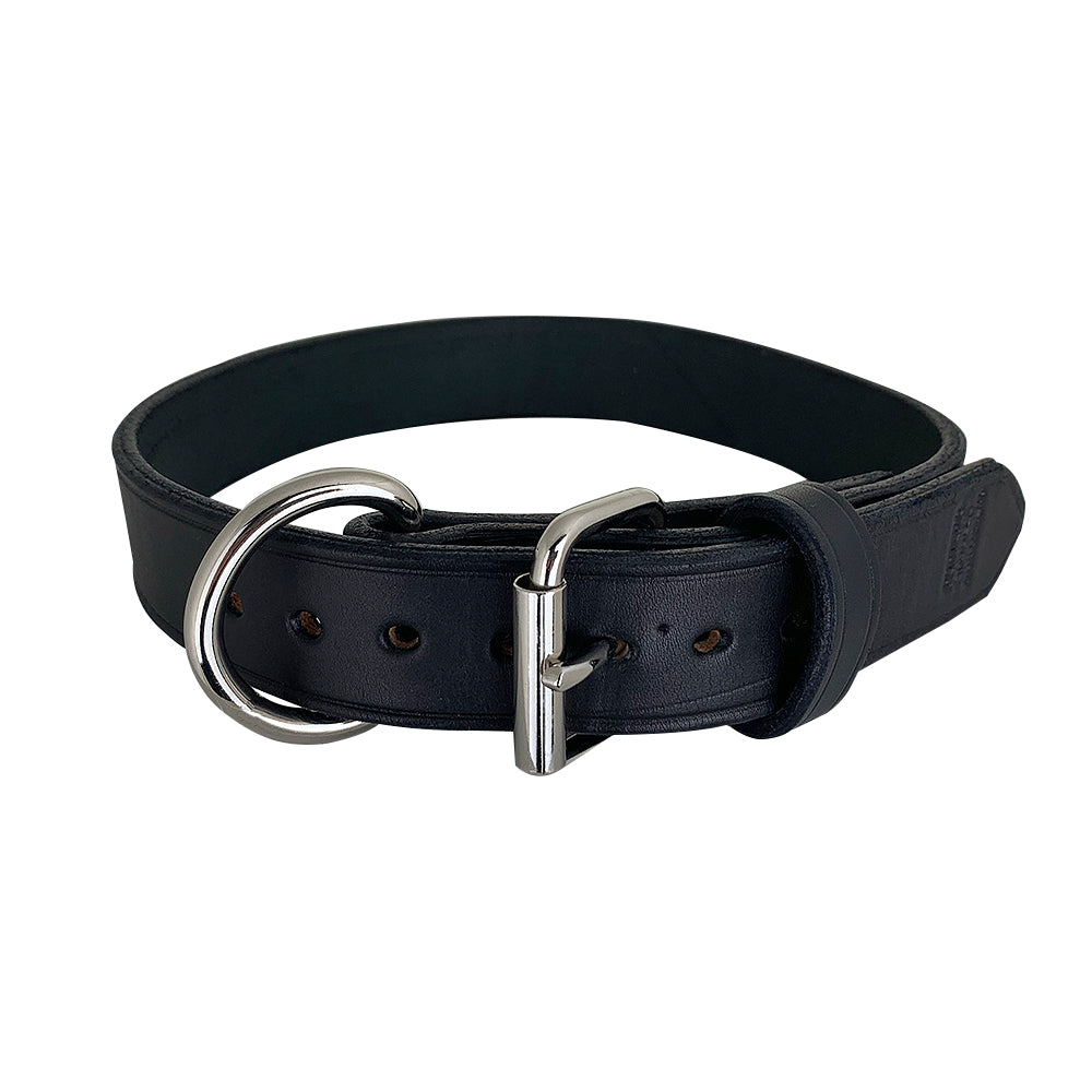 Porter Dog Collar Black with Silver