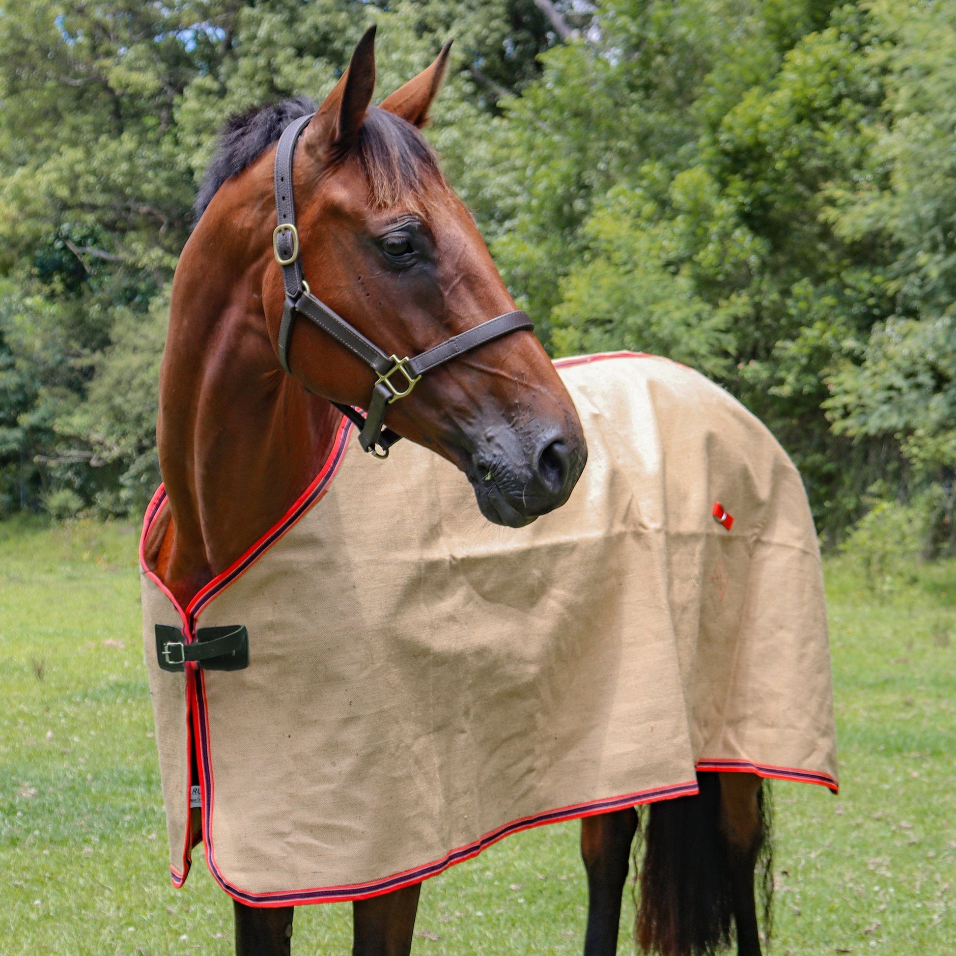 Rug Natural Jute Unlined - Aitken's Saddlery