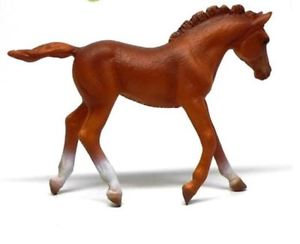 Collecta Thoroughbred Foal Walking