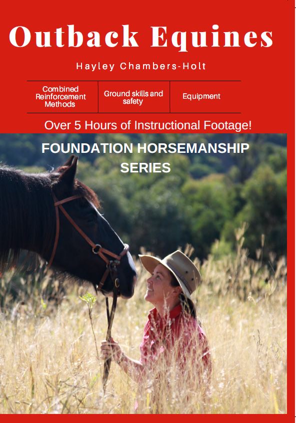 Outback Equines Foundation Horsemanship