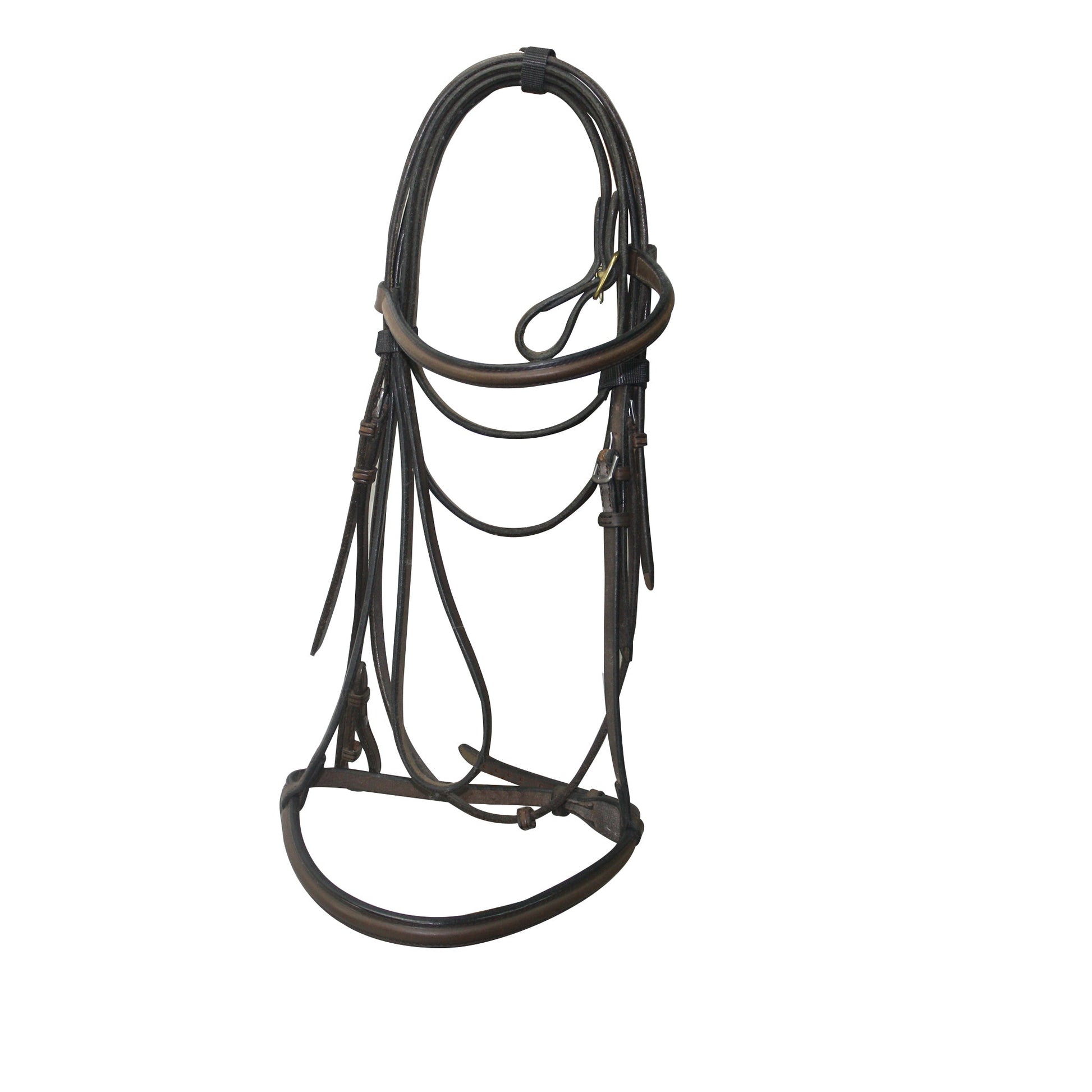 Sabre Led in Bridle with Lead - Aitken's Saddlery
