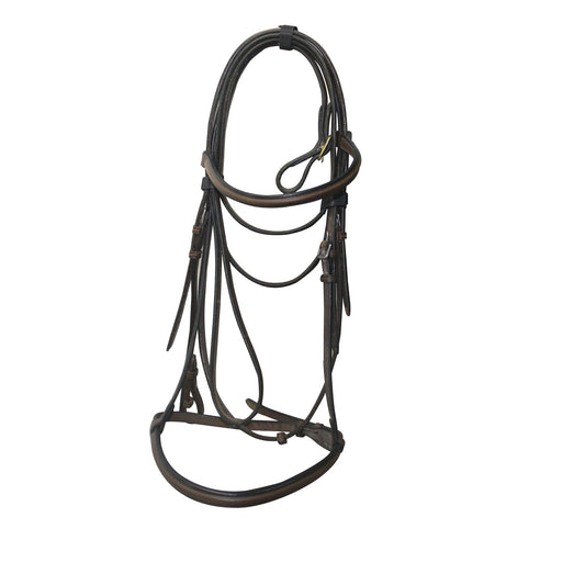 Sabre Led in Bridle with Lead - Aitken's Saddlery