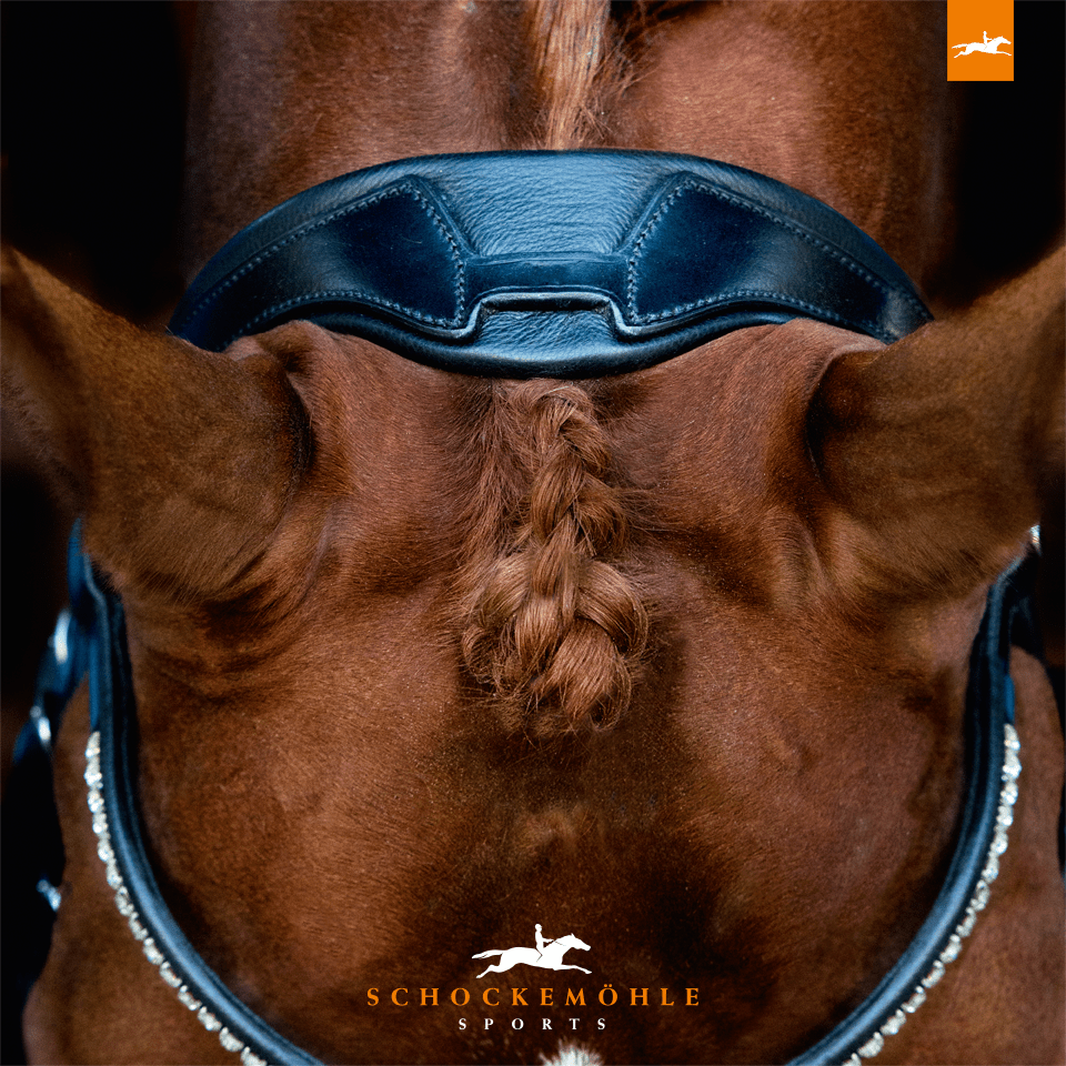 Schockemohle Malibu Bridle - Aitken's Saddlery