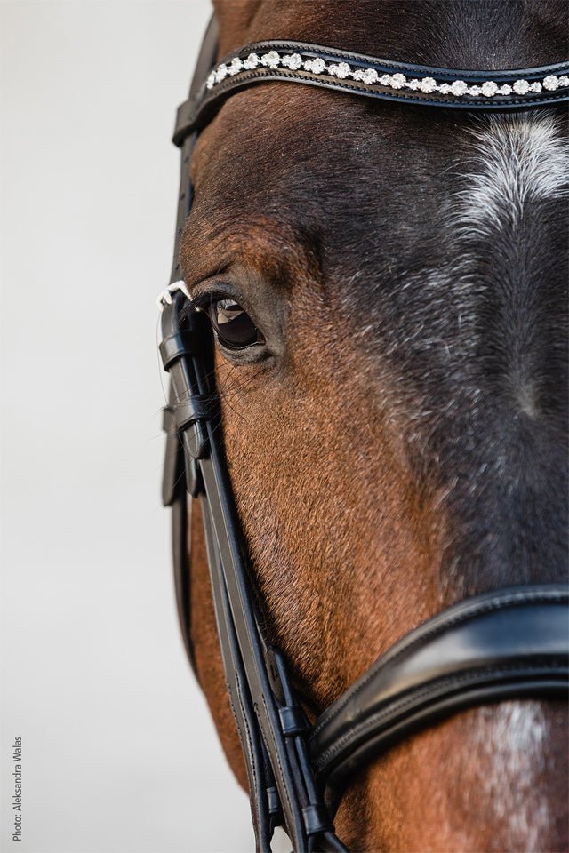 Schockemohle Milton Double Bridle Black with Silver - Aitken's Saddlery