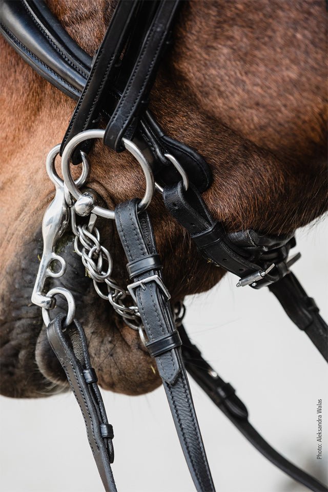 Schockemohle Milton Double Bridle Black with Silver - Aitken's Saddlery