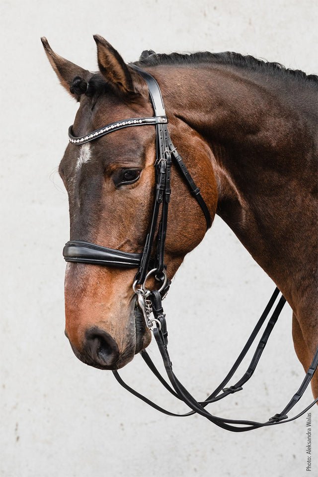 Schockemohle Milton Double Bridle Black with Silver - Aitken's Saddlery