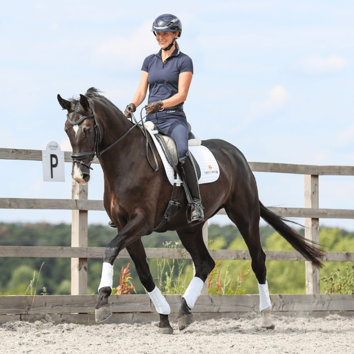 Stretch & Flex Flatwork Wraps New White - Aitken's Saddlery
