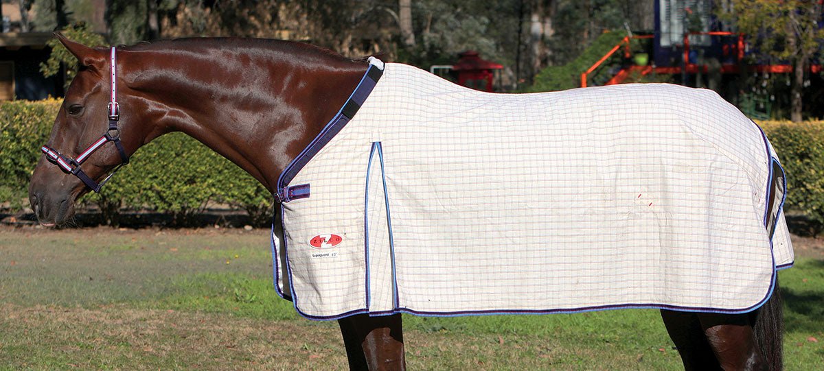 Supa Guard Detacha Combo White with Blue Red Trim - Aitken's Saddlery