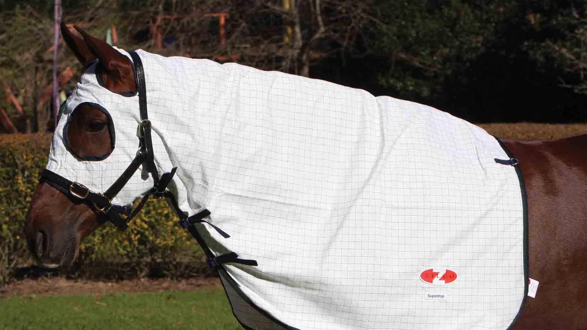 Supastop Hood White & Dark Green Navy Trim - Aitken's Saddlery